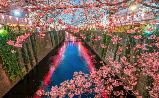 BİR UZAKDOĞU MASALI JAPONYA GEZİSİ